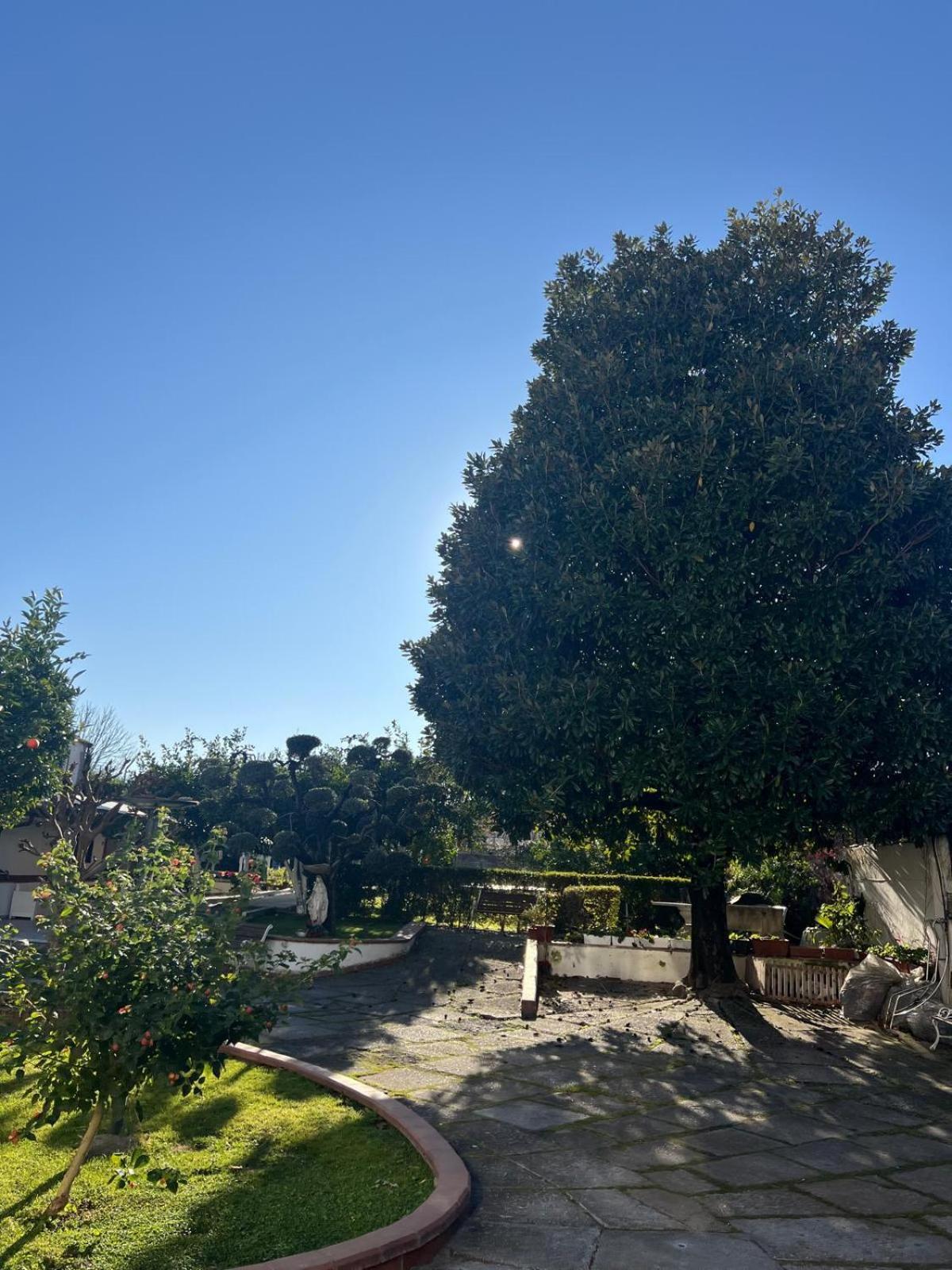 Maison Aielli 112 San Giuseppe Vesuviano Esterno foto